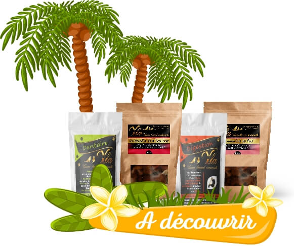 friandises naturelles pour chiens et chats
